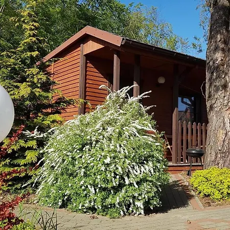 Prázdninový areál Przy Lesie