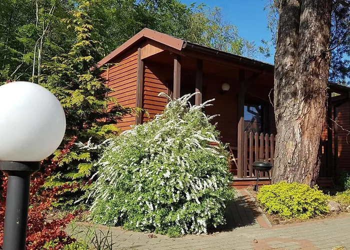 Holiday park Przy Lesie